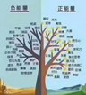 k8凯发一触即发国际总监之路 | 以我之名，点亮荣光